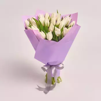 Букет из 25 белых тюльпанов в фиолетовой пленке