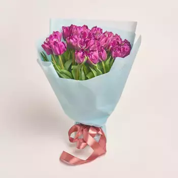 Букет из 25 фиолетовых пионовидных тюльпанов в голубой пленке