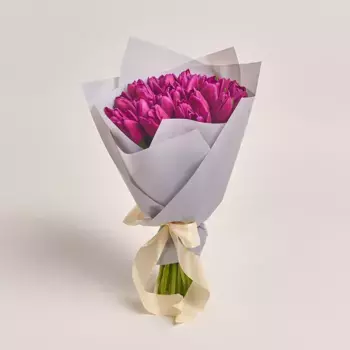 Букет из 25 фиолетовых тюльпанов в серой пленке