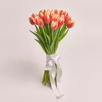 Букет из 25 красно-желтых тюльпанов «Обаяние весны»
