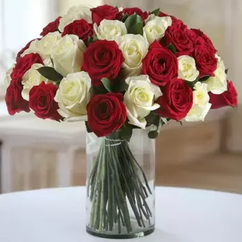 Букет из 25 красных и белых роз