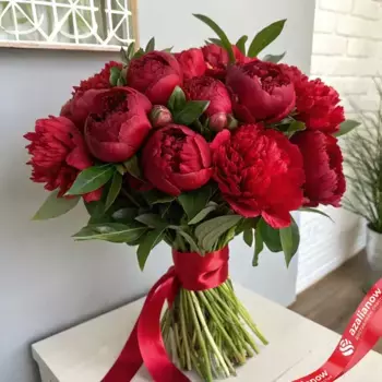 Букет из 25 красных пионов с красной лентой
