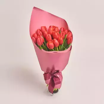 Букет из 25 красных тюльпанов «Афродита»