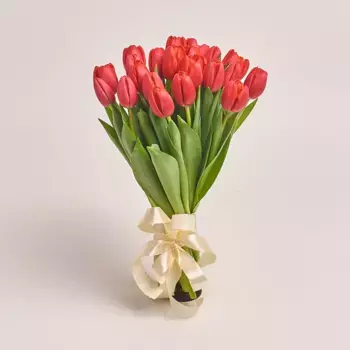 Букет из 25 красных тюльпанов «Энергия»