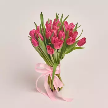 Букет из 25 малиновых тюльпанов