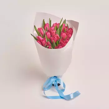 Букет из 25 малиновых тюльпанов в белой бумаге