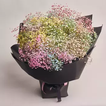 Букет из 25 радужных гипсофил в черной бумаге