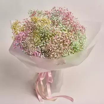 Букет из 25 радужных гипсофил в пленке