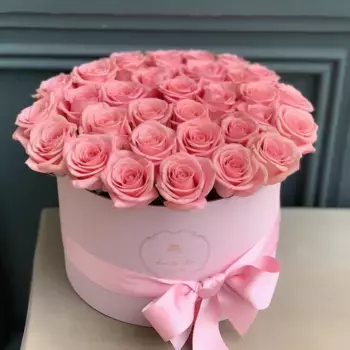 Букет из 25 розовых роз в розовой коробке