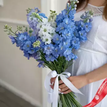 Букет из 25 синих дельфиниумов с белой лентой