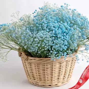Букет из 25 синих гипсофил в корзине