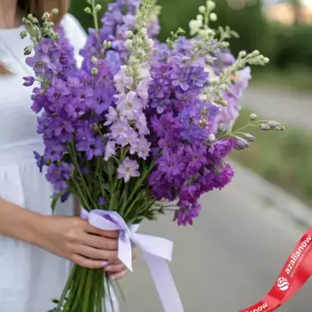 Букет из 25 сиреневых дельфиниумов с белой лентой