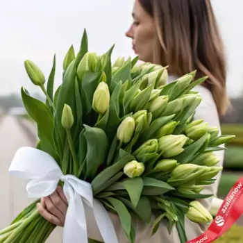 Букет из 25 зеленых тюльпанов с лентой, Россия