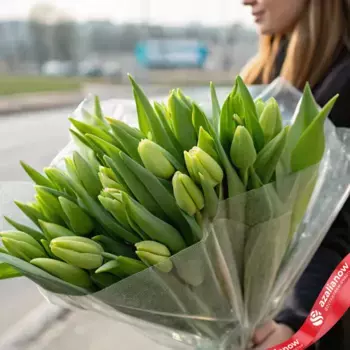 Букет из 25 зеленых тюльпанов в пленке, Россия