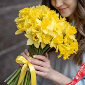 Букет из 25 желтых нарциссов с желтой лентой