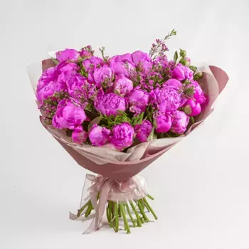 Букет из 29 пионов и ваксфловера «Обожаю пионы»