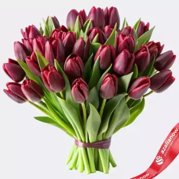 Букет из 30 бордовых тюльпанов, Россия