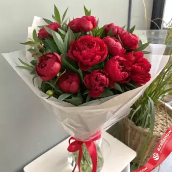 Букет из 30 красных пионов в пленке