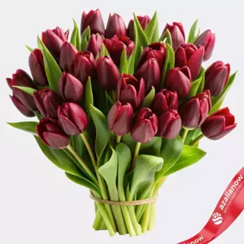 Букет из 30 малиновых тюльпанов, Россия