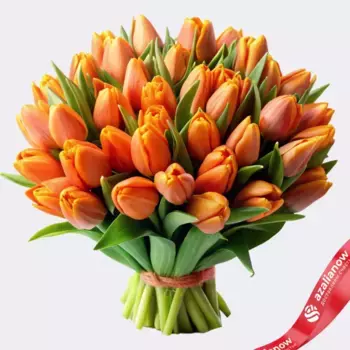 Букет из 30 оранжевых тюльпанов, Россия