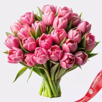 Букет из 30 розовых пионовидных тюльпанов, Голландия