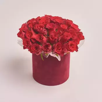 Букет из 31 красной розы в красной коробке