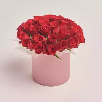 Букет из 31 красной розы в розовой коробке