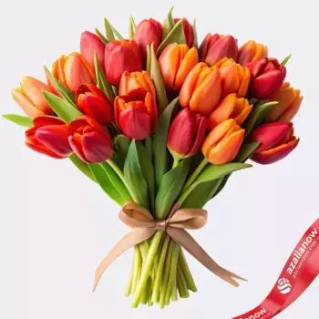 Букет из 33 алых и оранжевых тюльпанов, Россия