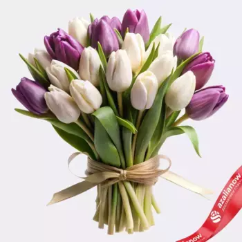 Букет из 33 белых и сиреневых тюльпанов, Россия