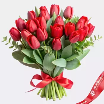 Букет из 33 красных тюльпанов с зеленью