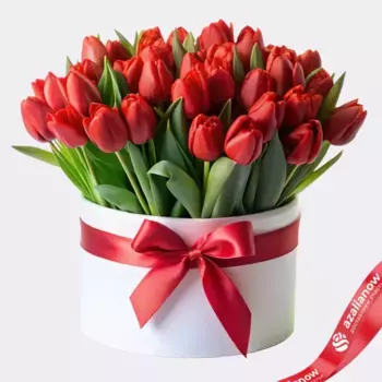 Букет из 33 красных тюльпанов в коробке