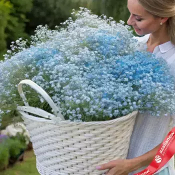 Букет из 35 голубых гипсофил в корзине