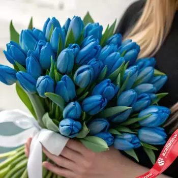 Букет из 35 голубых тюльпанов с белой лентой, Россия
