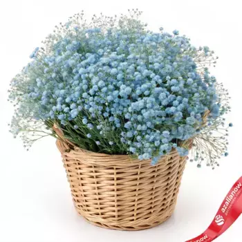 Букет из 35 синих гипсофил в корзине