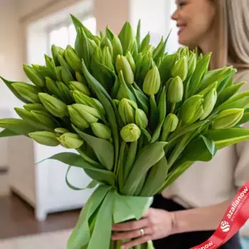 Букет из 35 зеленых тюльпанов с лентой, Россия