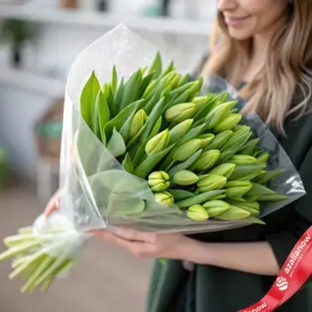 Букет из 35 зеленых тюльпанов в пленке, Россия