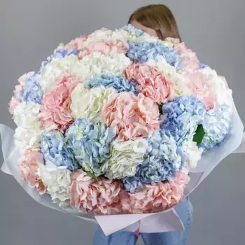 Букет из 39 гортензий «Белиссимо»
