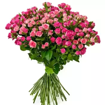 Букет из 39 кустовых малиновых роз