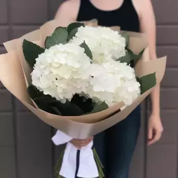 Букет из 3 белых гортензий в крафте