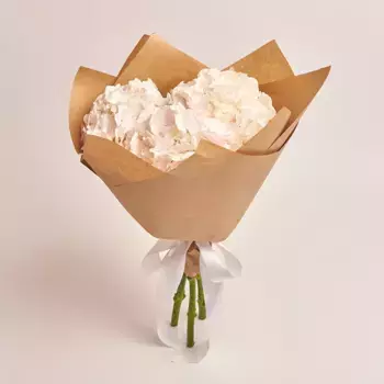 Букет из 3 белых гортензий в крафте с белой лентой