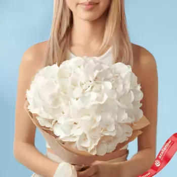 Букет из 3 гортензий «Беладонна»