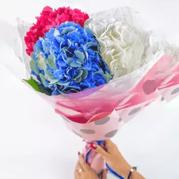 Букет из 3 гортензий «Я готов на все»