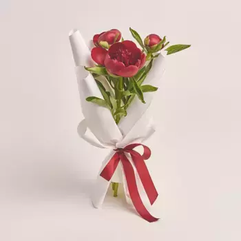 Букет из 3 красных пионов в белой бумаге