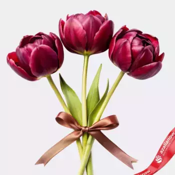 Букет из 3 малиновых пионовидных тюльпанов с лентой