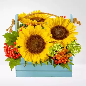 Букет из 3 подсолнухов, калины и седума «Подсолнух»