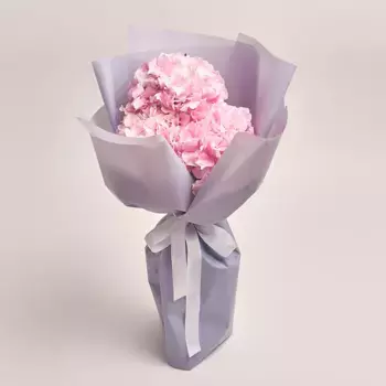 Букет из 3 розовых гортензий в серой пленке