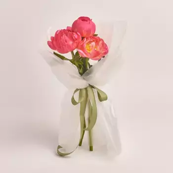 Букет из 3 розовых пионов в пленке