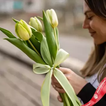 Букет из 3 зеленых тюльпанов с лентой, Россия