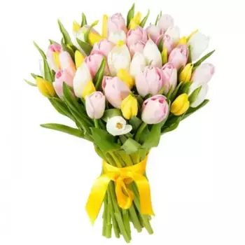 Букет из 41 желтого, розового и белого тюльпана