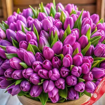 Букет из 500 сиреневых тюльпанов, Россия